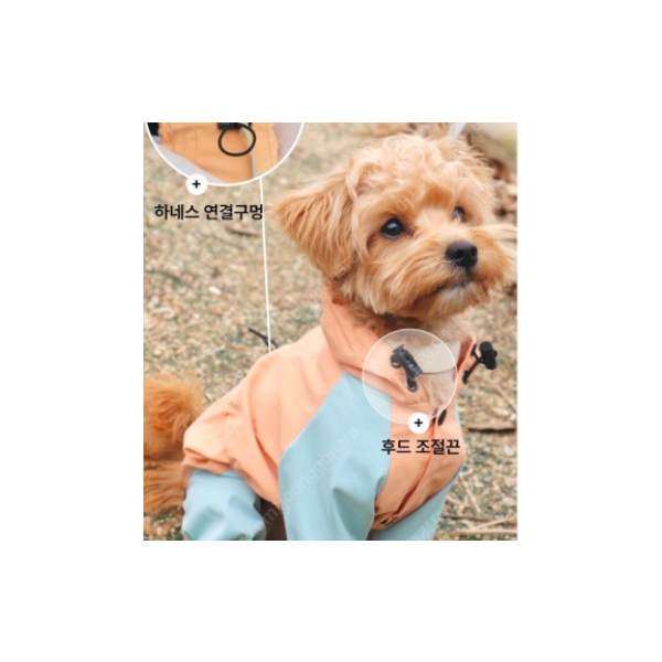 (새상품) 냥인댕 강아지 올인원 우비 XL사이즈 바람막이 가능